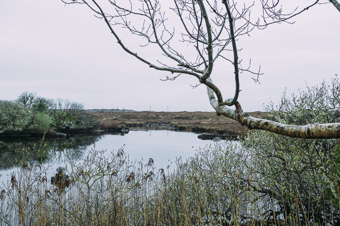 Ireland wedding photographer