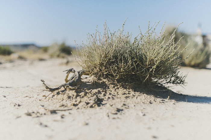 photographe mariage pays basque french wedding photographer